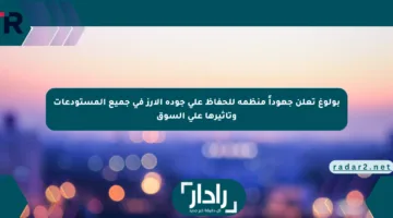 بولوغ تعلن جهوداً منظمة للحفاظ على جودة الأرز في جميع المستودعات وتأثيرها على السوق